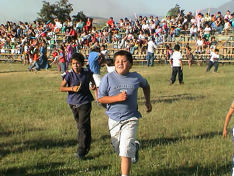 Click en la im&aacute;gen para ir al Indice de la secci&oacute;n